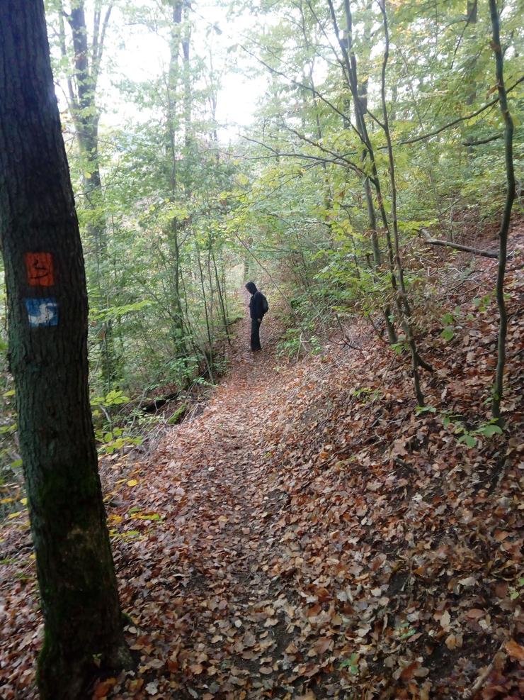 Mark im Herbstlaub. Etappe 2, Hennef nach Blankenberg, Ende Oktober 2018