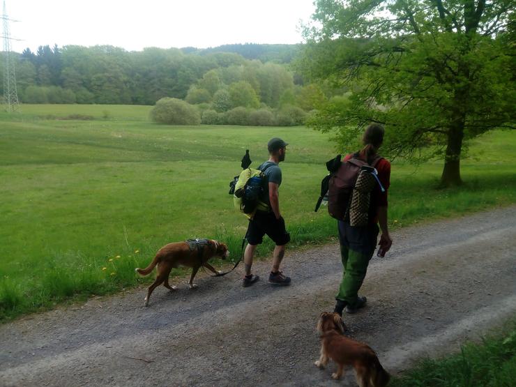 Ende April 2018: Trailfrucht und Hikingfrog mit Hunden auf Etappe 07